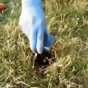GIF-repelente-solar-ultra-sonico-espanta-pragas-24h-tazzi-jardinagem-687